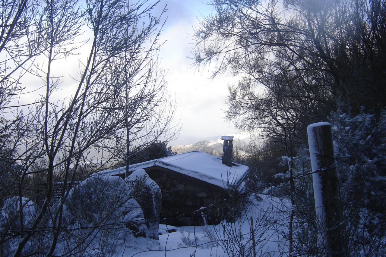 Casa Do Sertao Para 4 Pessoas -Geres Viana do Castelo Eksteriør billede