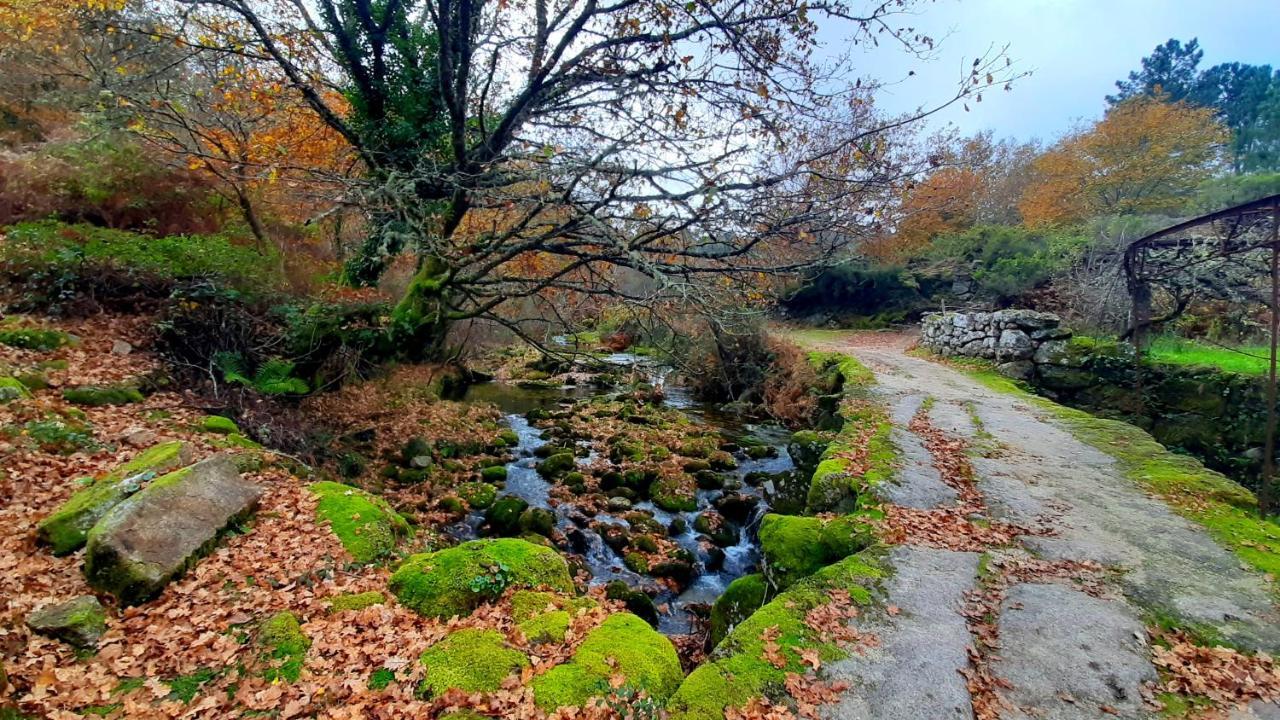 Casa Do Sertao Para 4 Pessoas -Geres Viana do Castelo Eksteriør billede